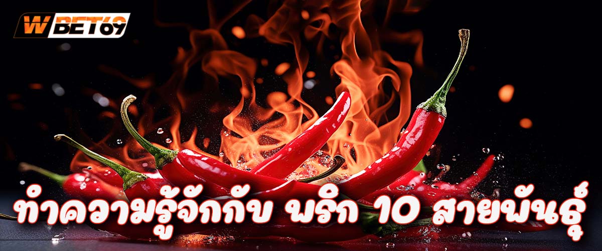 ทำความรู้จักกับ พริก 10 สายพันธุ์